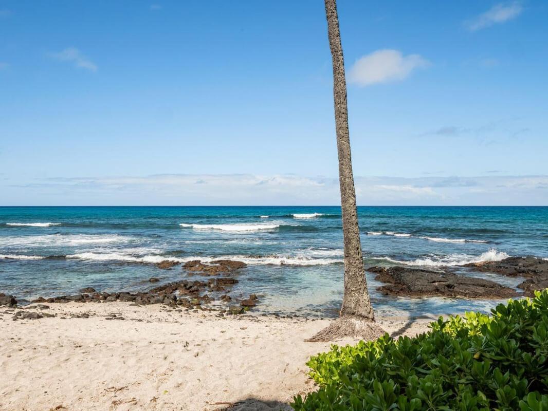 Oceanfront 1 Bedroom 2 Bathroom With Large Lanai - Kona Bali Kai 218 Кайлуа-Кона Екстер'єр фото